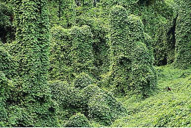 整理类益智游戏《向左一点》DLC“橱柜与抽屉”发售 新增25个谜题