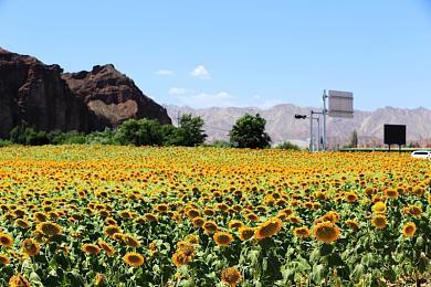 《东方：平野孤鸿》国区Steam页面上线 发售日期待定
