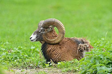 具备深刻故事性的回合制复古JRPG《Elements Destiny》公布